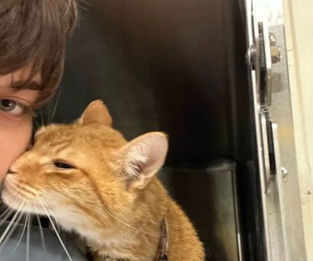 Trenton Animal Clinic