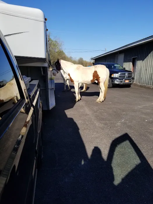 Trenton Animal Clinic Picture 5