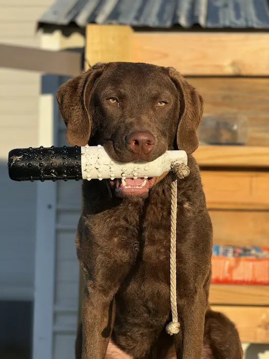 Trenton Animal Clinic Picture 4