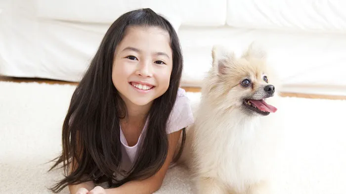 Trenton Animal Clinic Picture 10