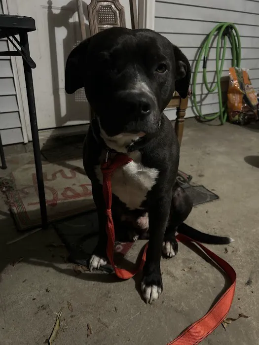 Weakley County Animal Clinic Picture 1