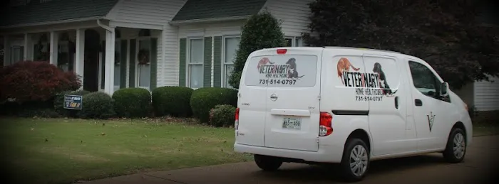 Veterinary Home Healthcare & Canine Chiropractic Picture 4