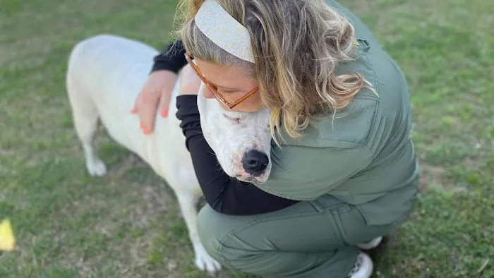 Veterinary Home Healthcare & Canine Chiropractic Picture 1