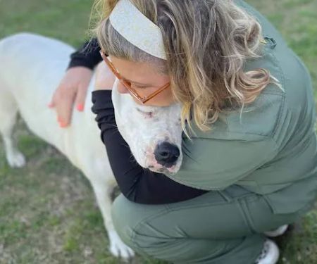 Veterinary Home Healthcare & Canine Chiropractic