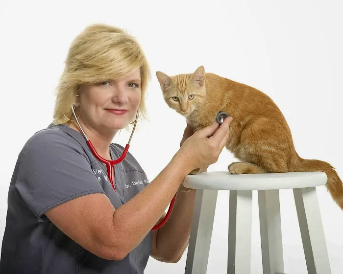 Veterinary Home Healthcare & Canine Chiropractic Picture 8