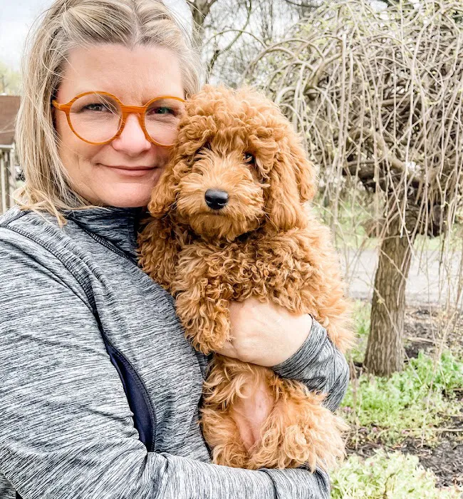 Veterinary Home Healthcare & Canine Chiropractic Picture 7