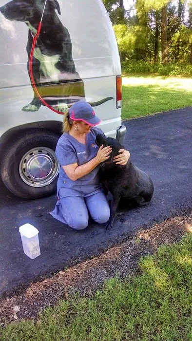 Veterinary Home Healthcare & Canine Chiropractic Picture 6