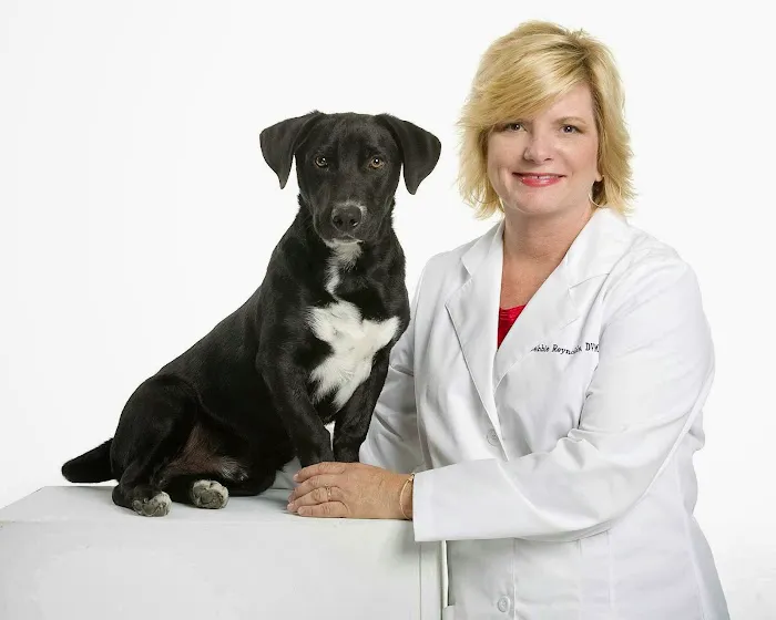 Veterinary Home Healthcare & Canine Chiropractic Picture 10