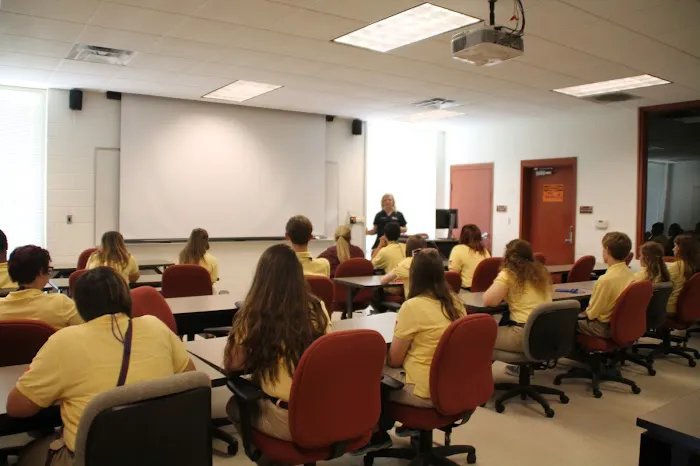 Veterinary Home Healthcare & Canine Chiropractic Picture 9