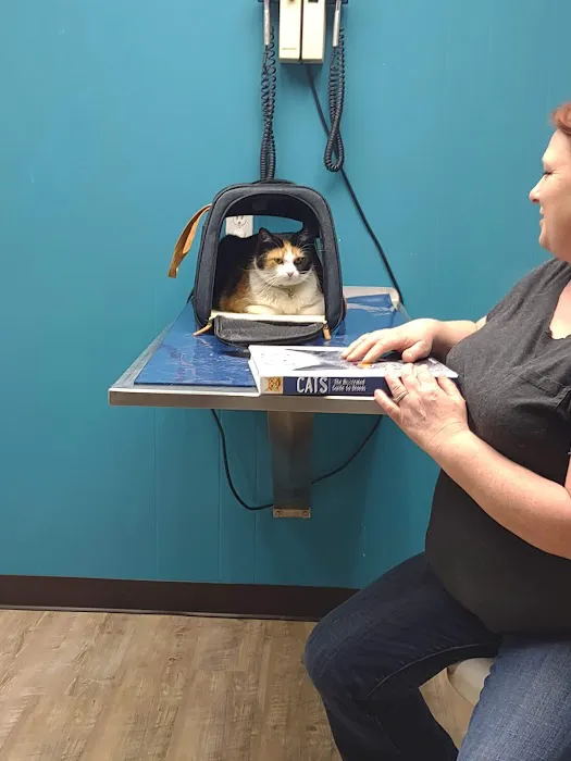 Hooks Pet Clinic Picture 3