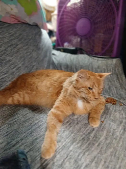 Hooks Pet Clinic Picture 6