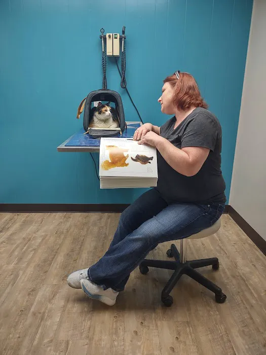 Hooks Pet Clinic Picture 5