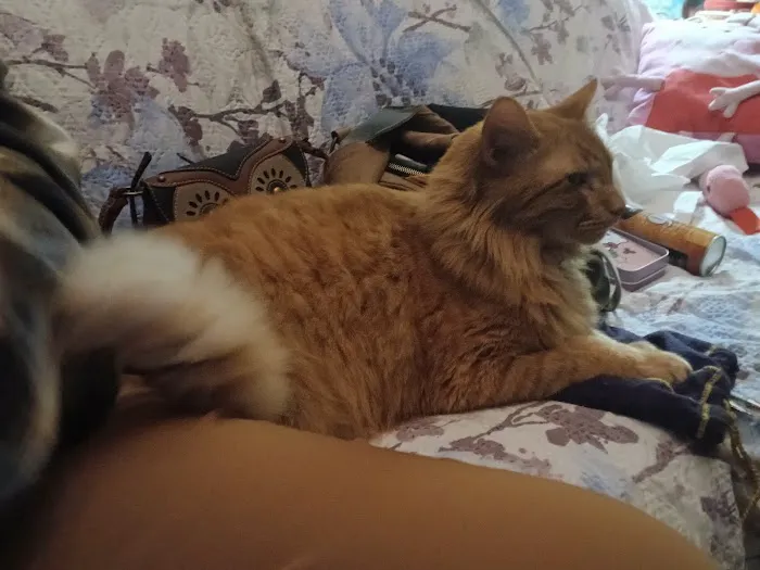 Hooks Pet Clinic Picture 4