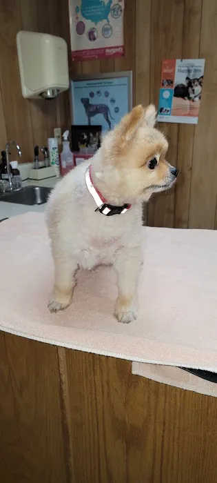 Tri-City Small Animal Clinic Picture 2