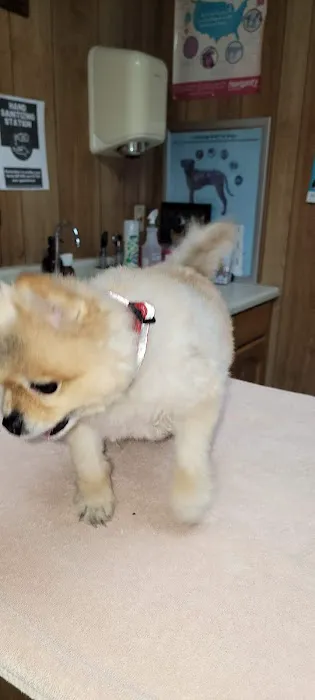 Tri-City Small Animal Clinic Picture 3