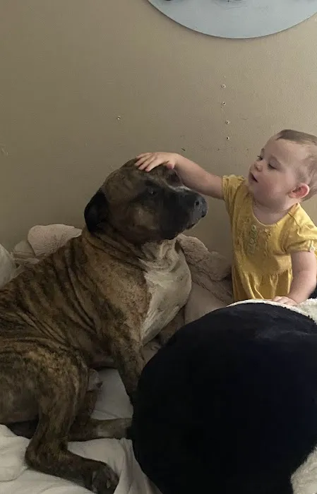 Tri-City Small Animal Clinic Picture 1