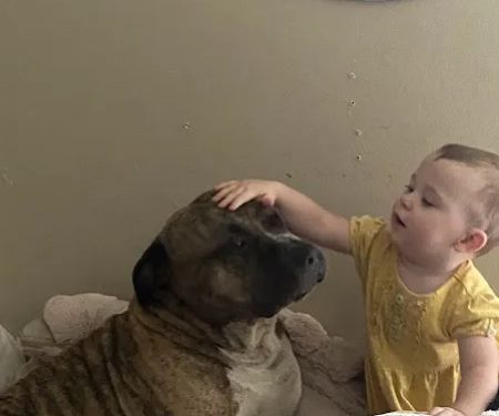 Tri-City Small Animal Clinic