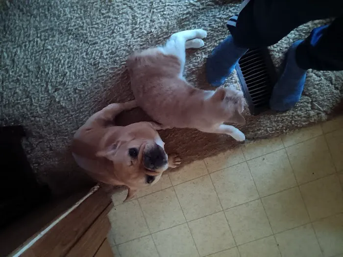 Ward Animal Clinic Picture 1