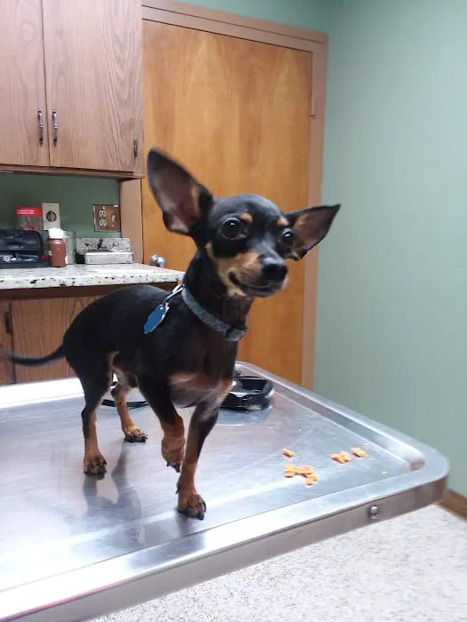 Ward Animal Clinic Picture 2