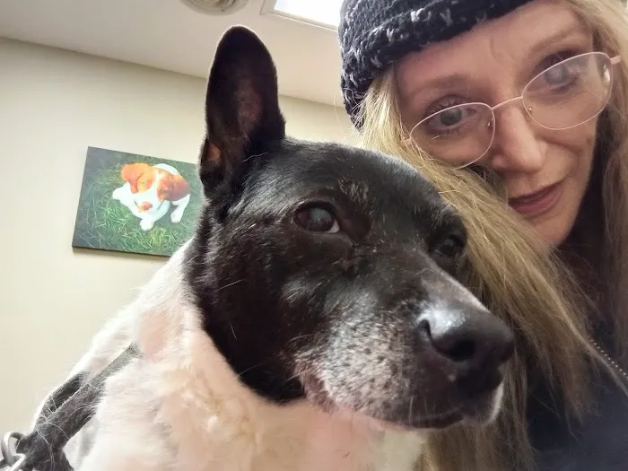 Ward Animal Clinic Picture 3