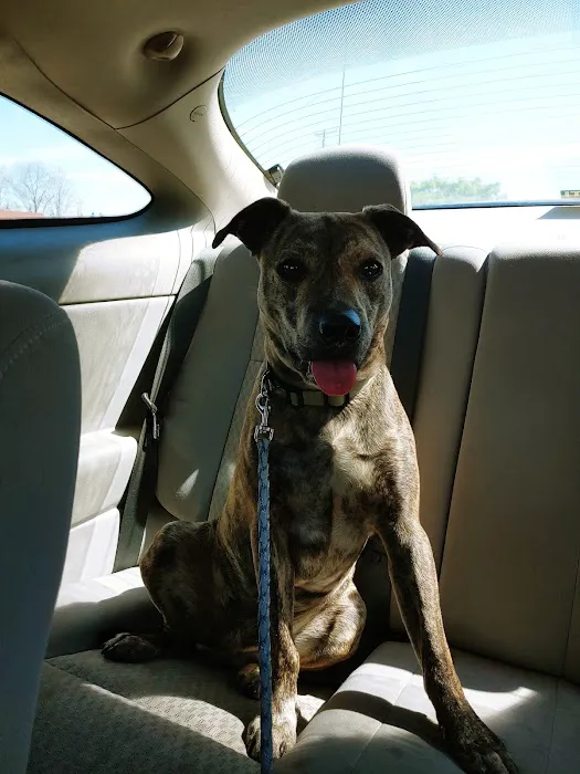 Ward Animal Clinic Picture 4