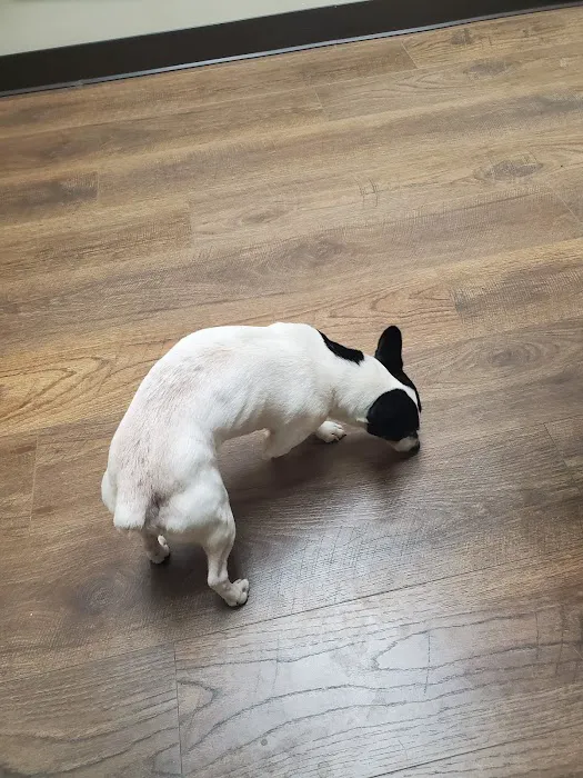 Ward Animal Clinic Picture 9