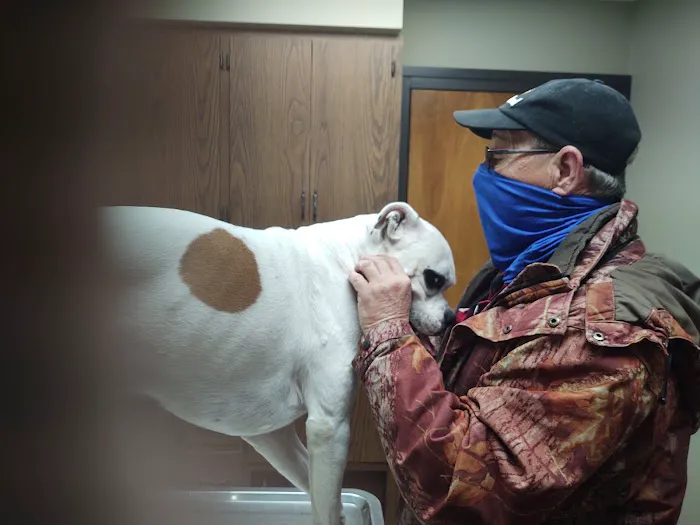 Ward Animal Clinic Picture 7