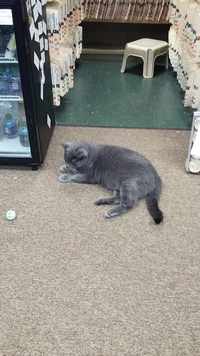 Reelfoot Animal Hospital Picture 5