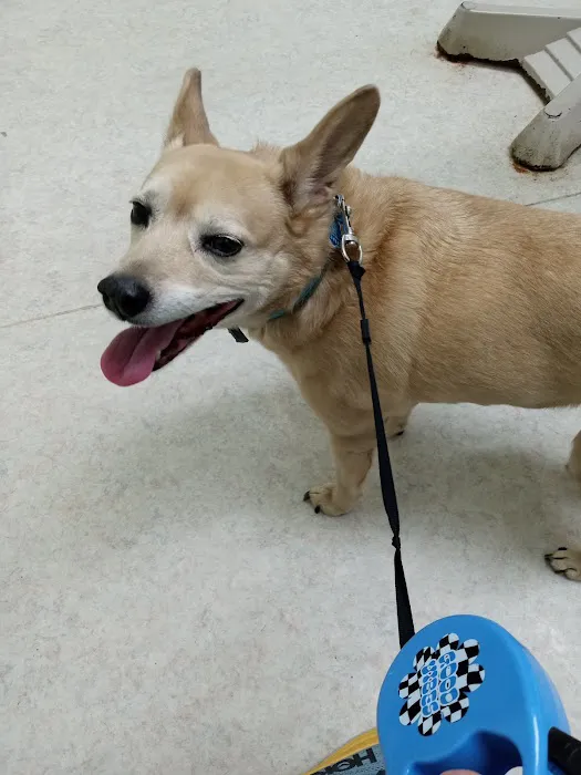 Reelfoot Animal Hospital Picture 7