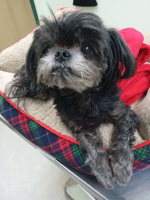 Reelfoot Animal Hospital Picture 6