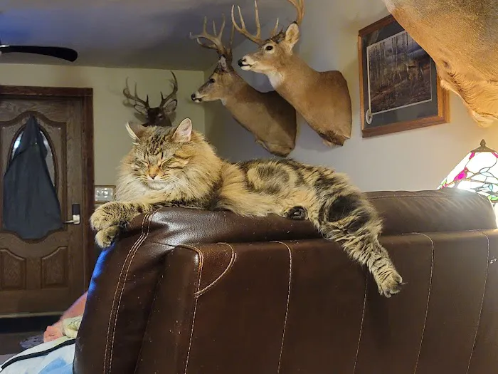 Willow Park Veterinary Clinic Picture 2