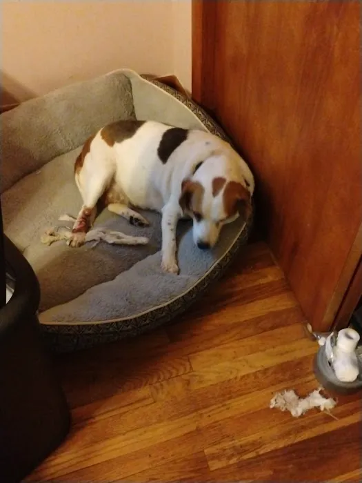 Willow Park Veterinary Clinic Picture 1