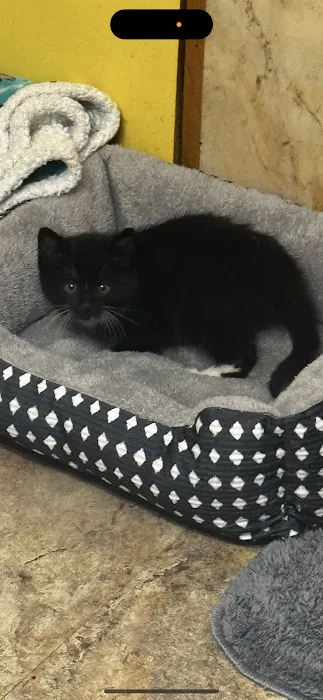 Willow Park Veterinary Clinic Picture 8