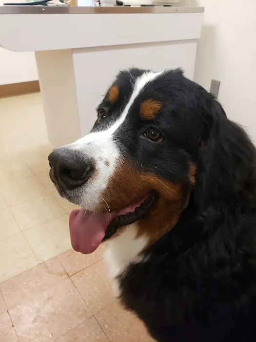 Willow Park Veterinary Clinic Picture 6