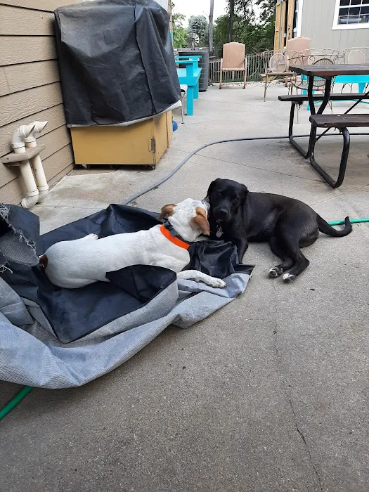 Countryside Small Animal Clinic Picture 4