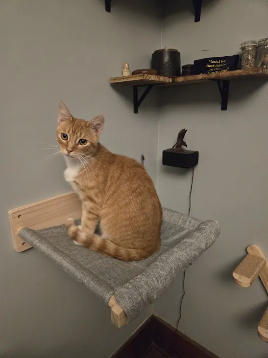 Countryside Small Animal Clinic Picture 1