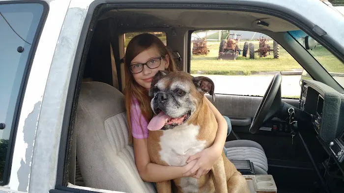 Countryside Small Animal Clinic Picture 3