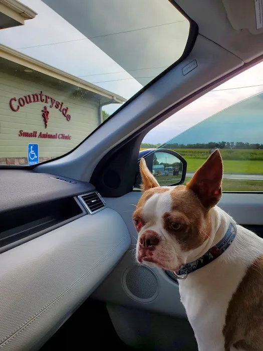Countryside Small Animal Clinic Picture 2