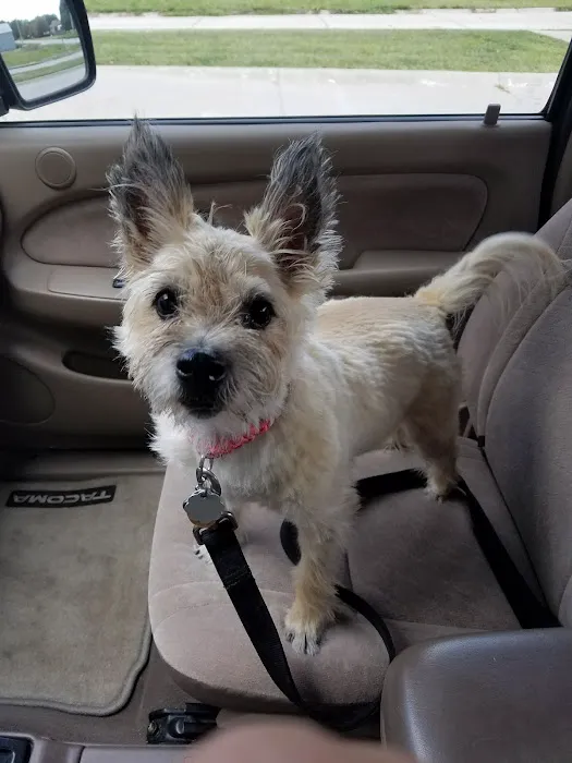 Countryside Small Animal Clinic Picture 9