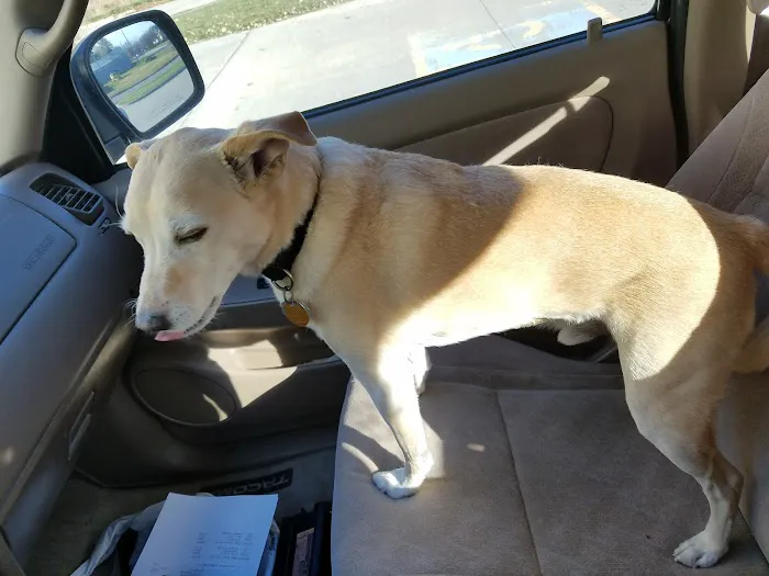 Countryside Small Animal Clinic Picture 7