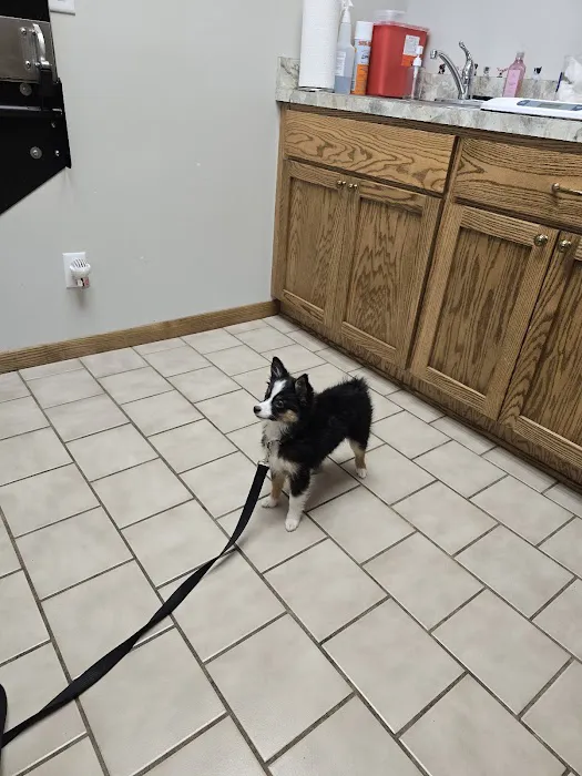 Blair Small Animal Clinic Picture 2