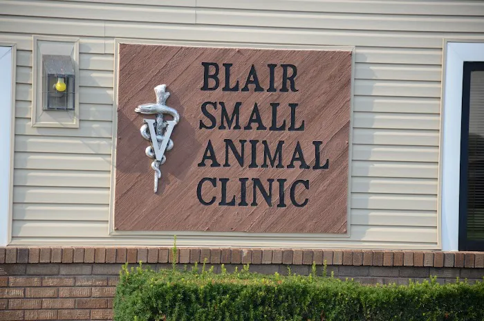 Blair Small Animal Clinic Picture 8