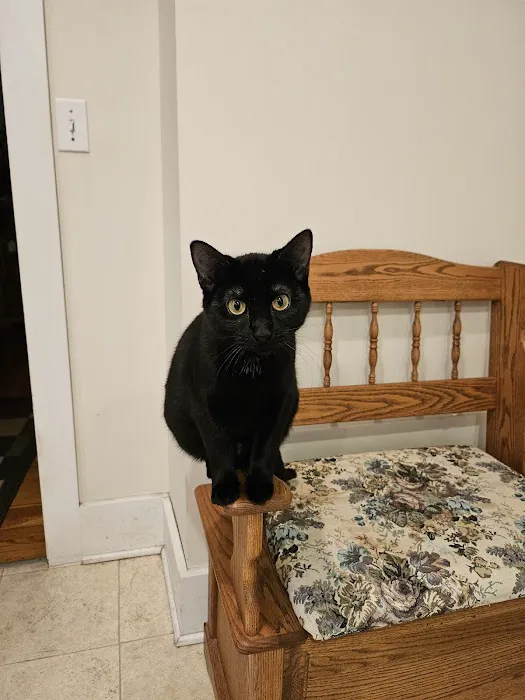 Blair Small Animal Clinic Picture 10