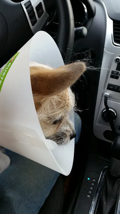 Family Pet at Morningside Picture 3