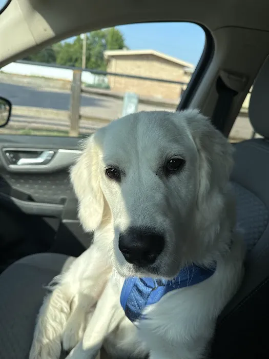 Family Pet at Morningside Picture 4