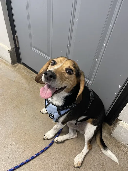 Elk Creek Animal Hospital Picture 2