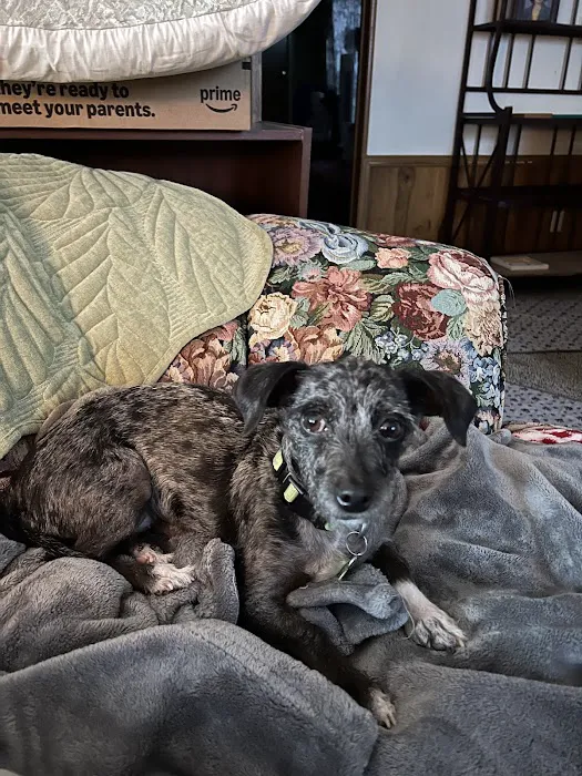 Elk Creek Animal Hospital Picture 1