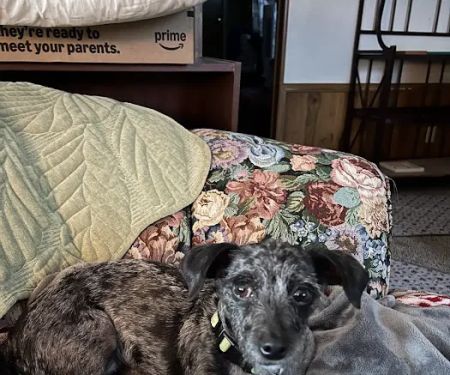 Elk Creek Animal Hospital