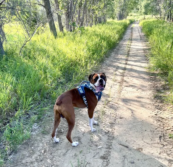 Elk Creek Animal Hospital Picture 5