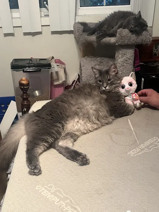 Elk Creek Animal Hospital Picture 4